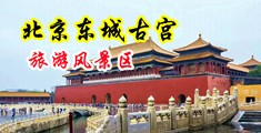 免费羞羞无码视频中国北京-东城古宫旅游风景区